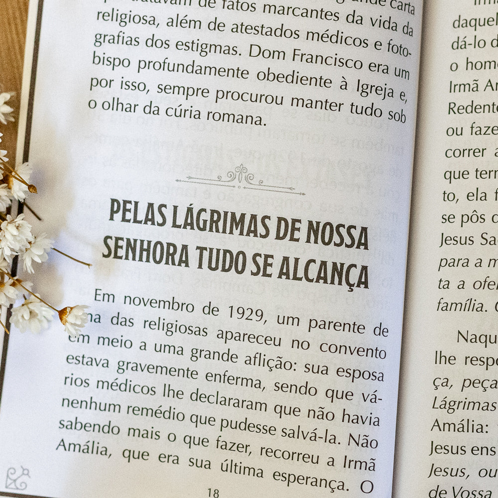 Devocionário de Nossa Senhora das Lágrimas - Hesed